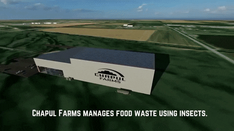 Chapul Farms manages food waste using insects